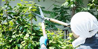 木の伐採・植木剪定